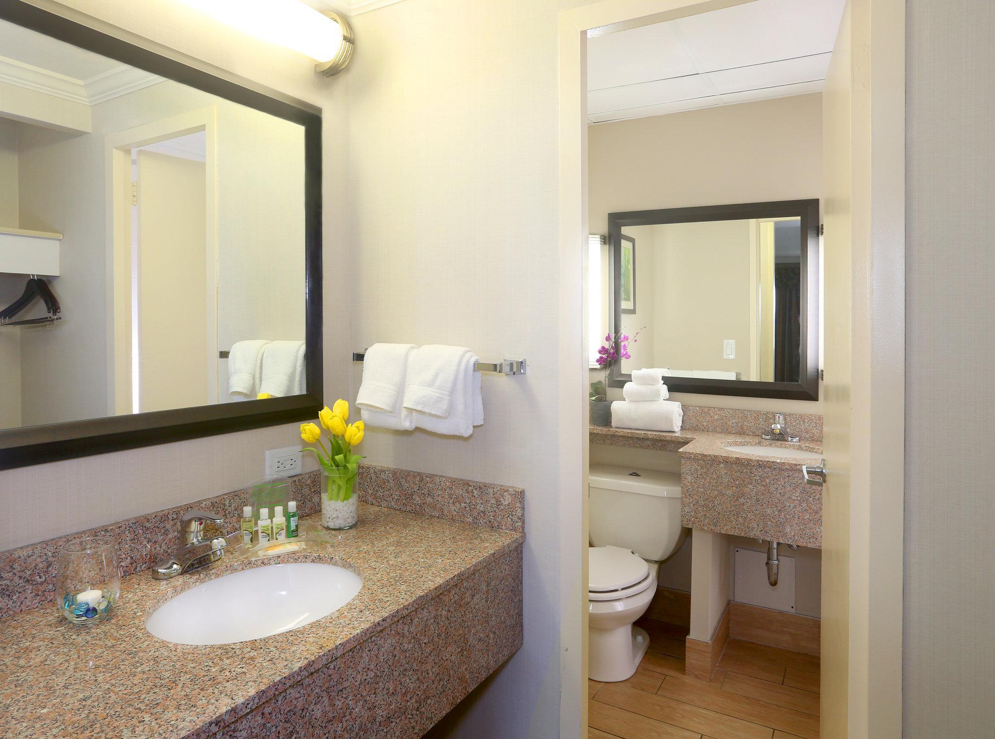 Holiday Inn Binghamton-Downtown Hawley Street By Ihg Buitenkant foto