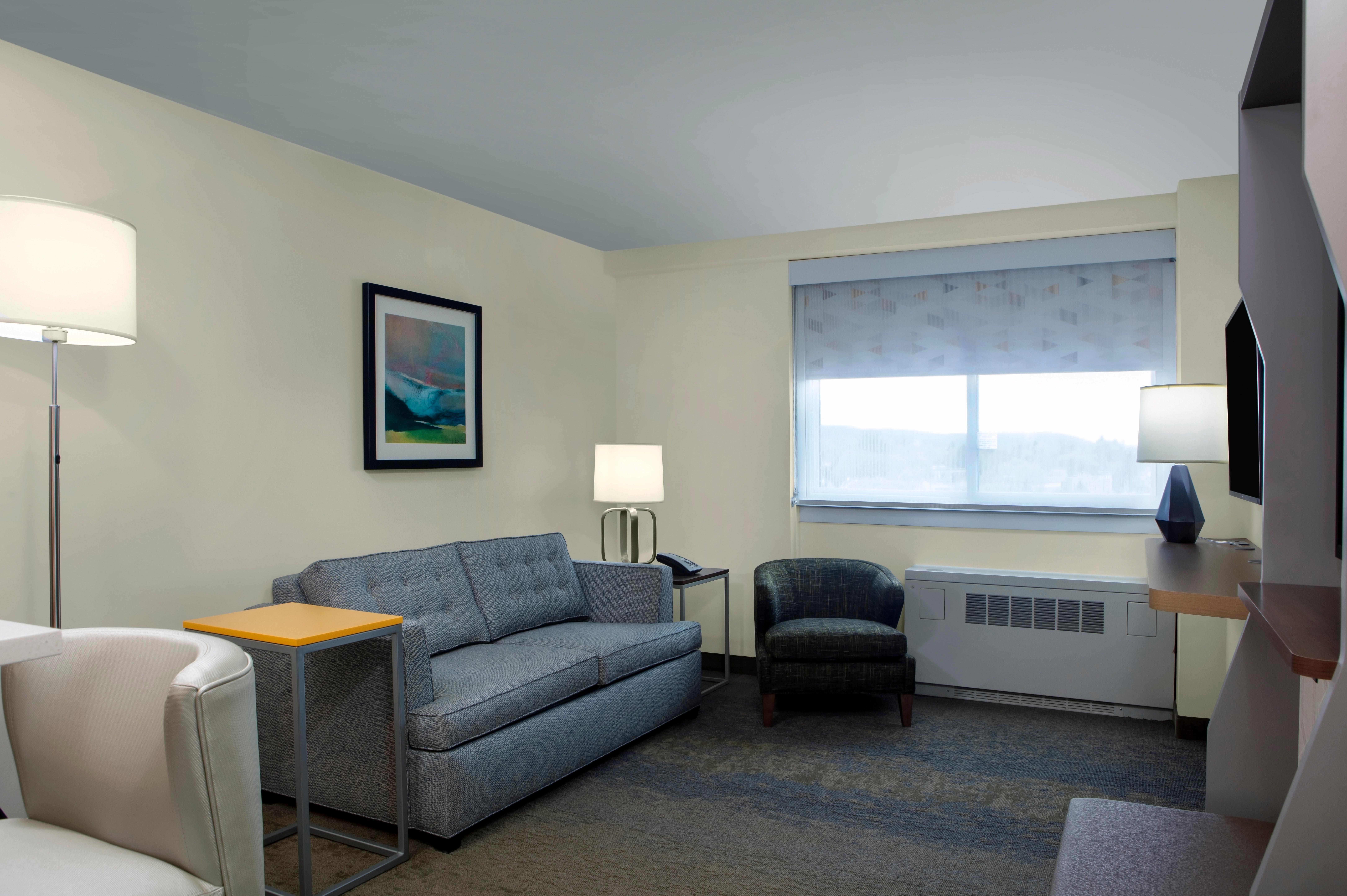 Holiday Inn Binghamton-Downtown Hawley Street By Ihg Buitenkant foto